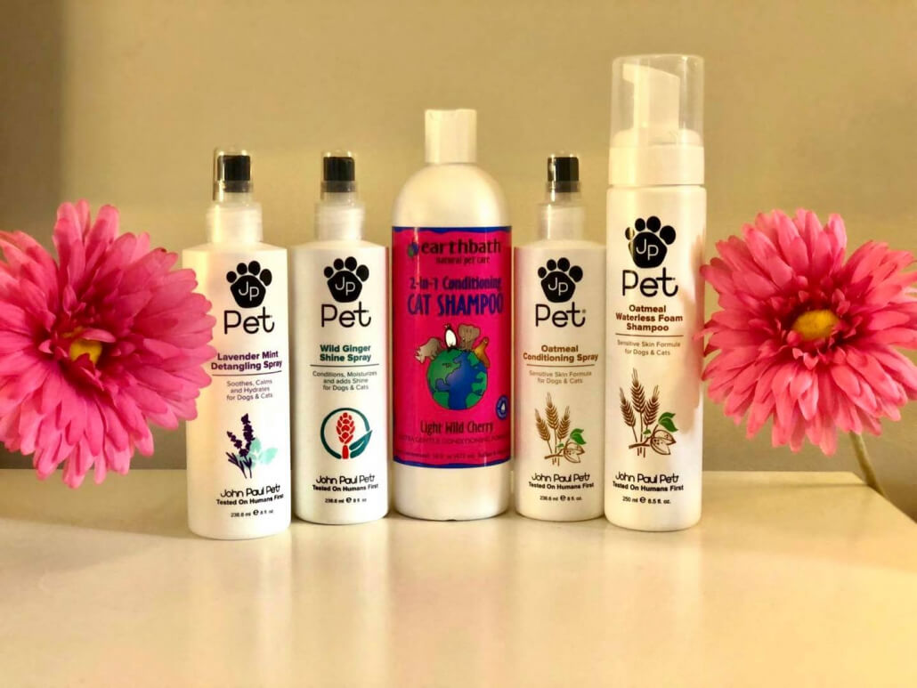 Photos – Purrfect Paws Grooming